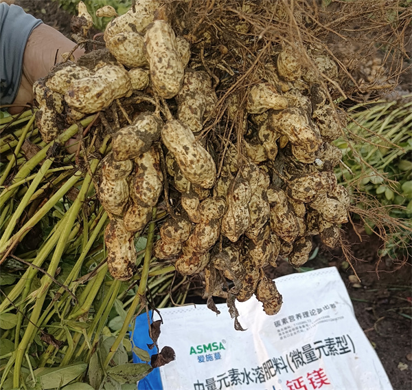 花生种植-蔓叶钙镁肥