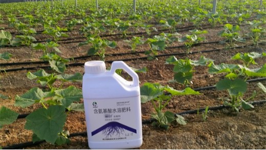 作物总烂根？生根剂来护根
