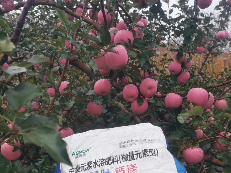 苹果施肥-蔓叶钙镁肥