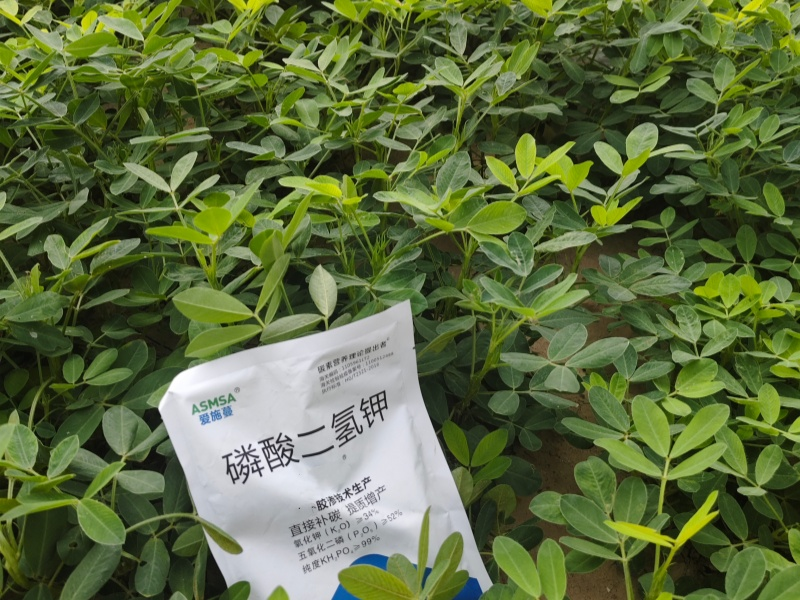 花生施肥-蔓叶磷酸二氢钾