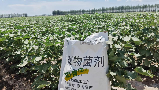 微生物菌剂守护土壤健康