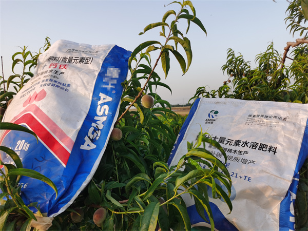 桃树施肥-爱施蔓蔓叶水溶肥 
