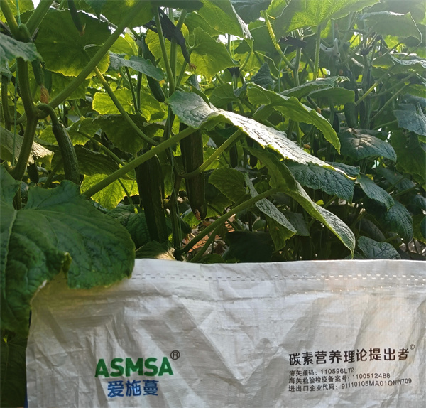 黄瓜施肥-爱施蔓蔓叶水溶肥