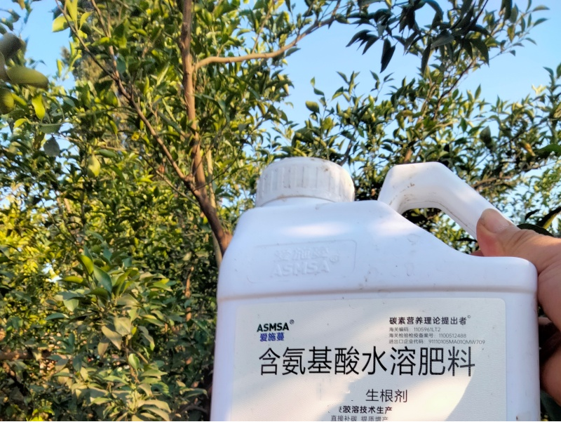 柑橘施肥-蔓叶生根剂